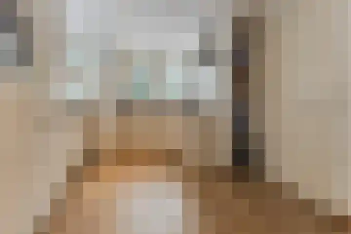 de Kluis 20 Heeze thumbnail 32