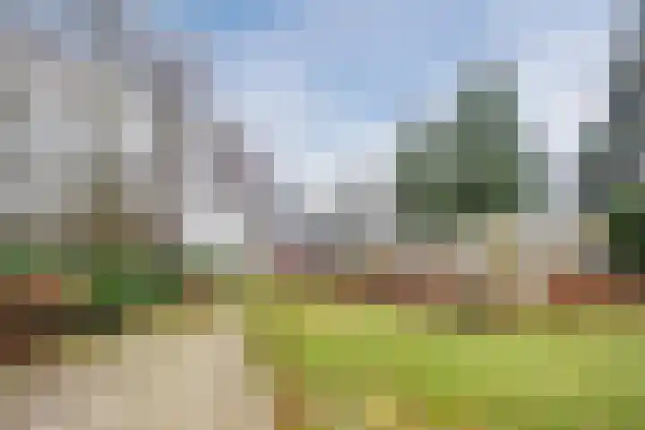 de Kluis 20 Heeze thumbnail 46