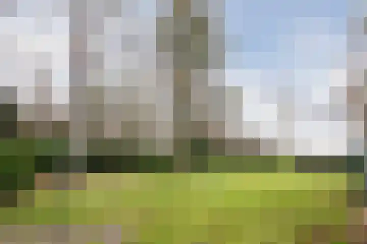 de Kluis 20 Heeze thumbnail 47