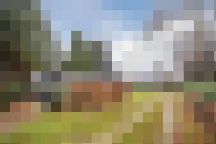 de Kluis 20 Heeze thumbnail 48