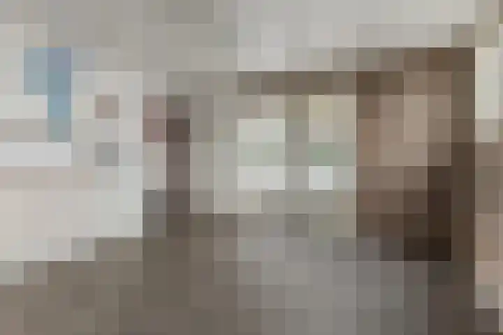 de Kluis 20 Heeze thumbnail 50