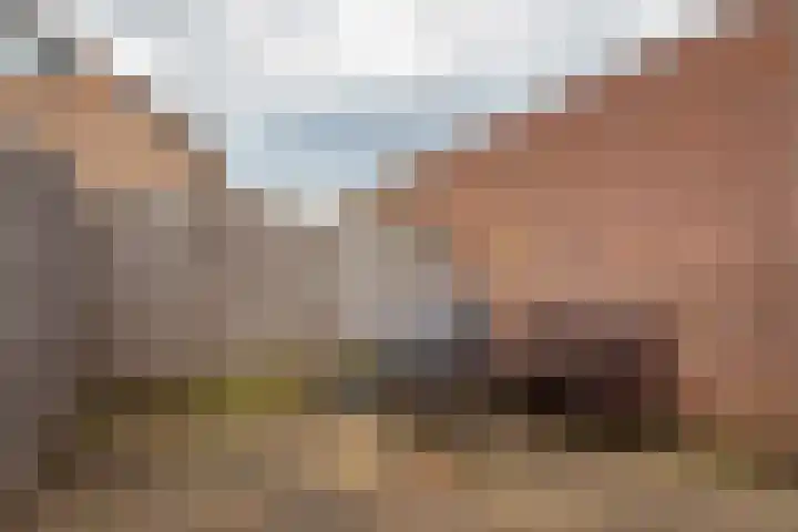 De Klumpender 19 Dinxperlo thumbnail 33