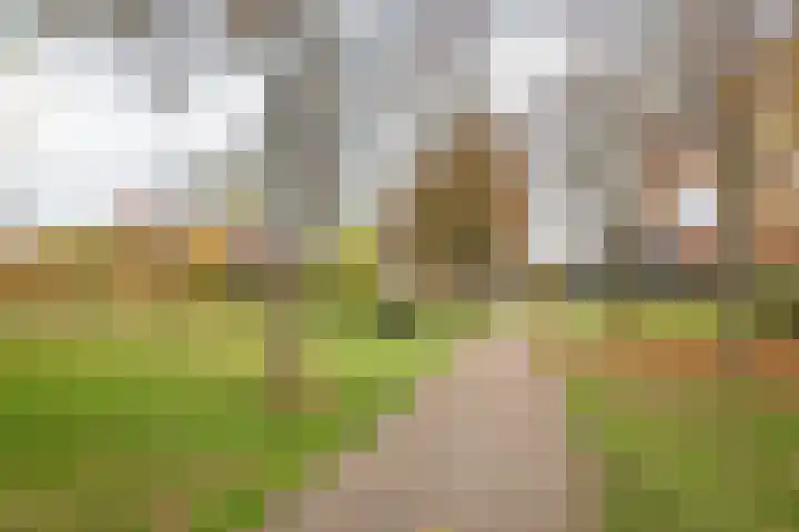 De Klumpender 19 Dinxperlo thumbnail 37