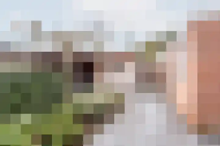 De Klumpender 30 Dinxperlo thumbnail 34