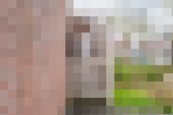 De Klumpender 30 Dinxperlo thumbnail 44