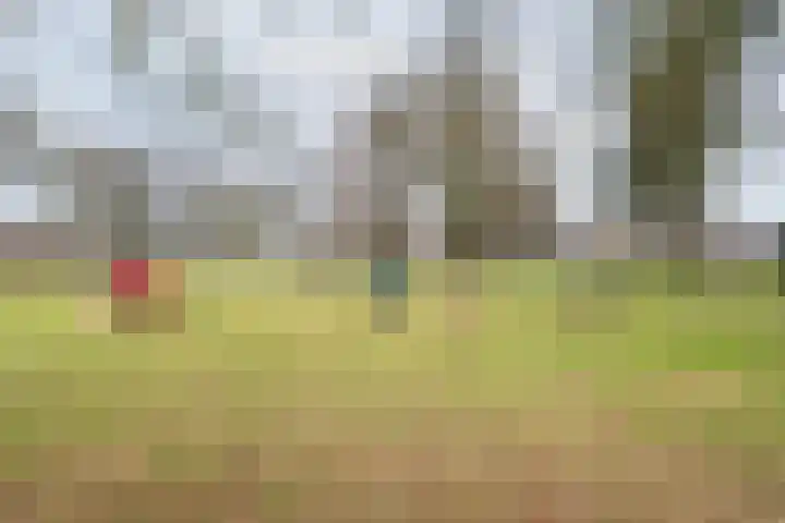 De Klumpender 30 Dinxperlo thumbnail 47
