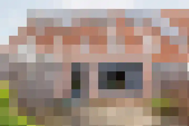 De Klumpender 5 Dinxperlo thumbnail 44
