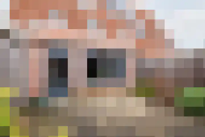 De Klumpender 5 Dinxperlo thumbnail 45