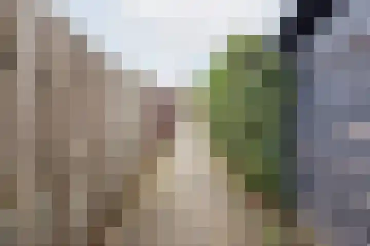 De Klumpender 5 Dinxperlo thumbnail 46