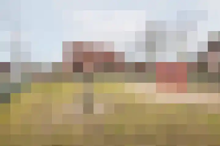 De Klumpender 5 Dinxperlo thumbnail 49