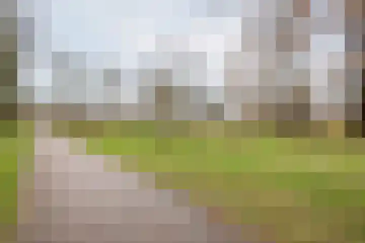 De Klumpender 5 Dinxperlo thumbnail 50