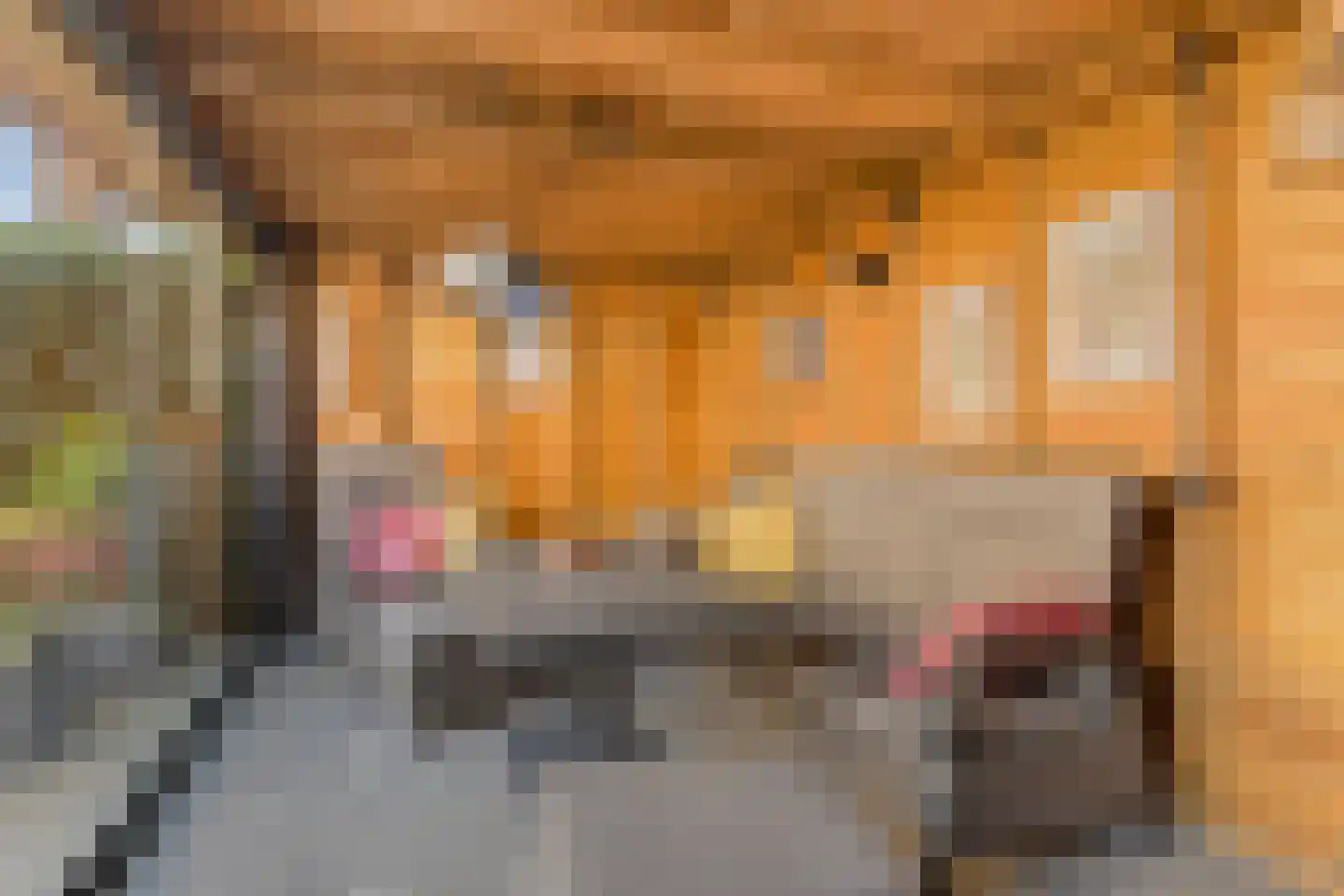 De Klumpender 81 Dinxperlo thumbnail 4
