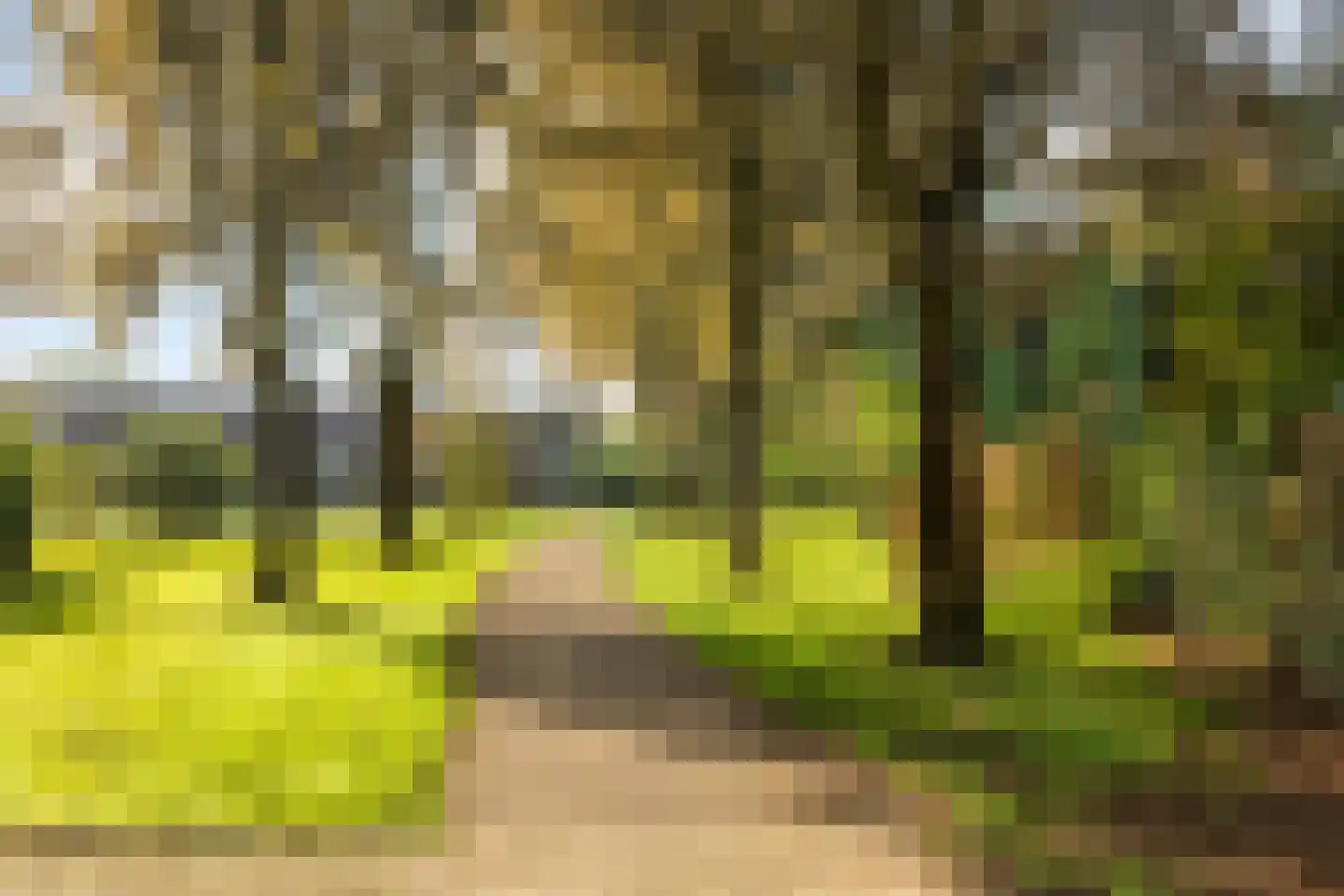 De Klumpender 81 Dinxperlo thumbnail 44