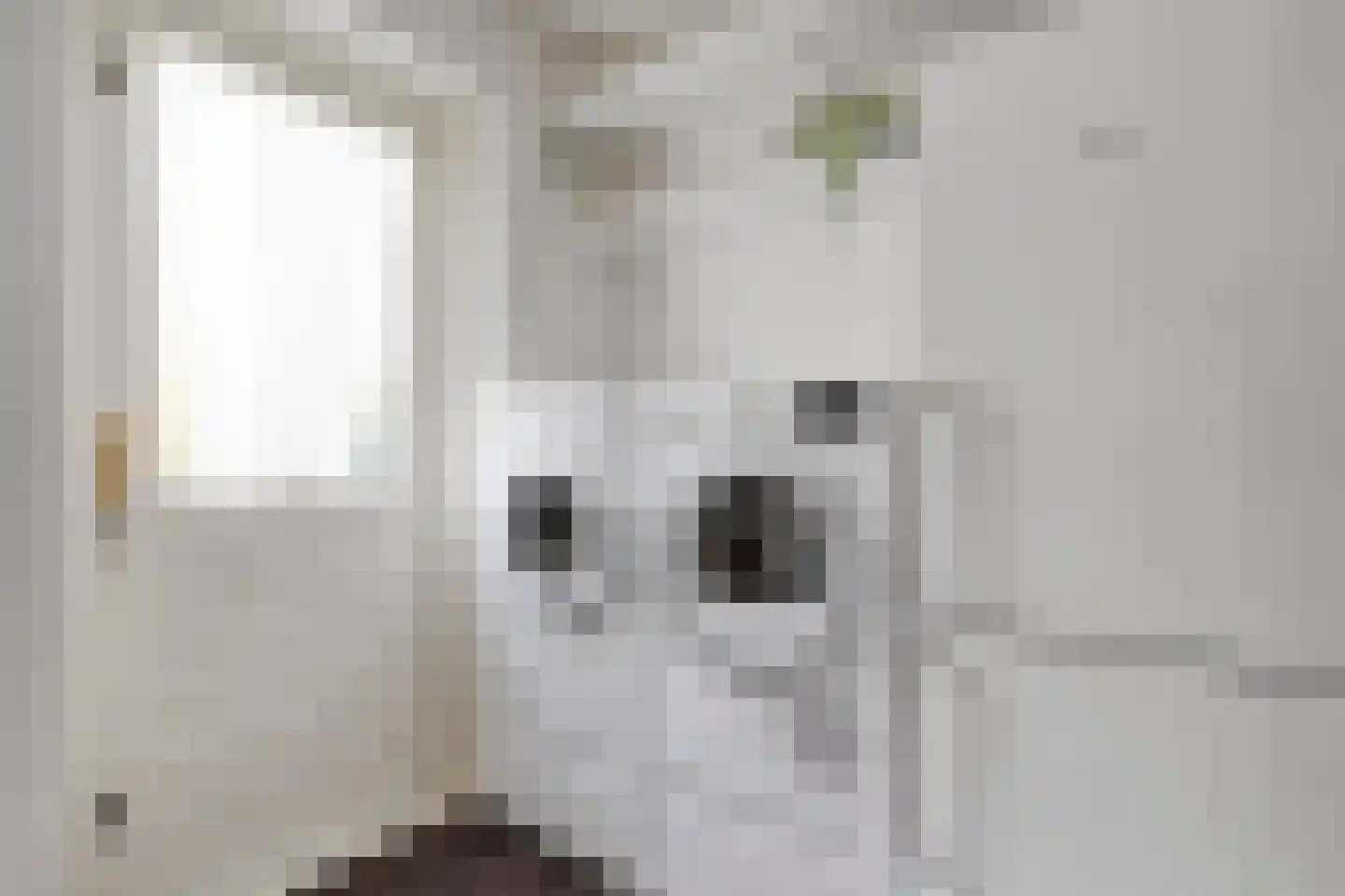 De Klumper 4 Tubbergen thumbnail 15