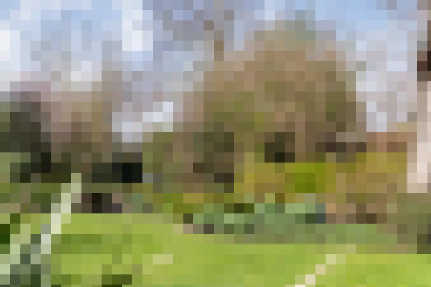 De Klumper 4 Tubbergen thumbnail 28