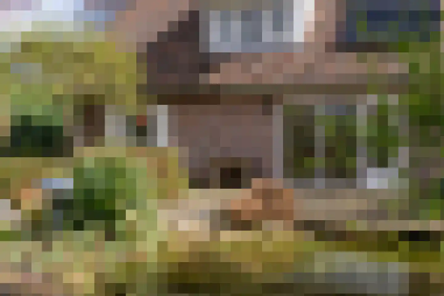 De Klumper 4 Tubbergen thumbnail 29