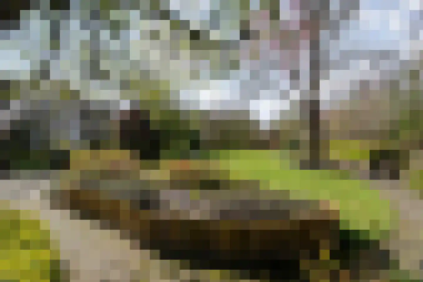 De Klumper 4 Tubbergen thumbnail 31