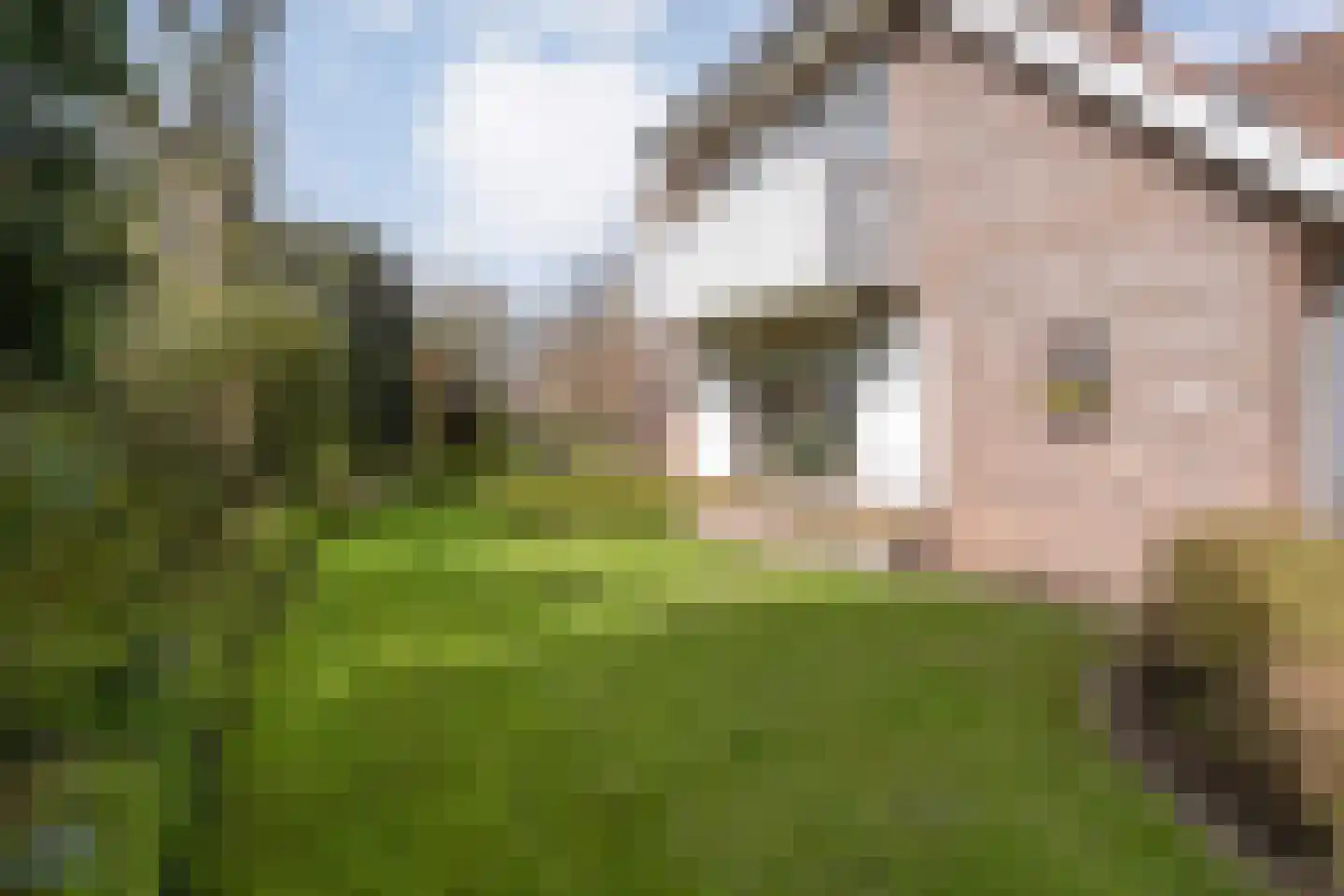 De Klumper 4 Tubbergen thumbnail 33