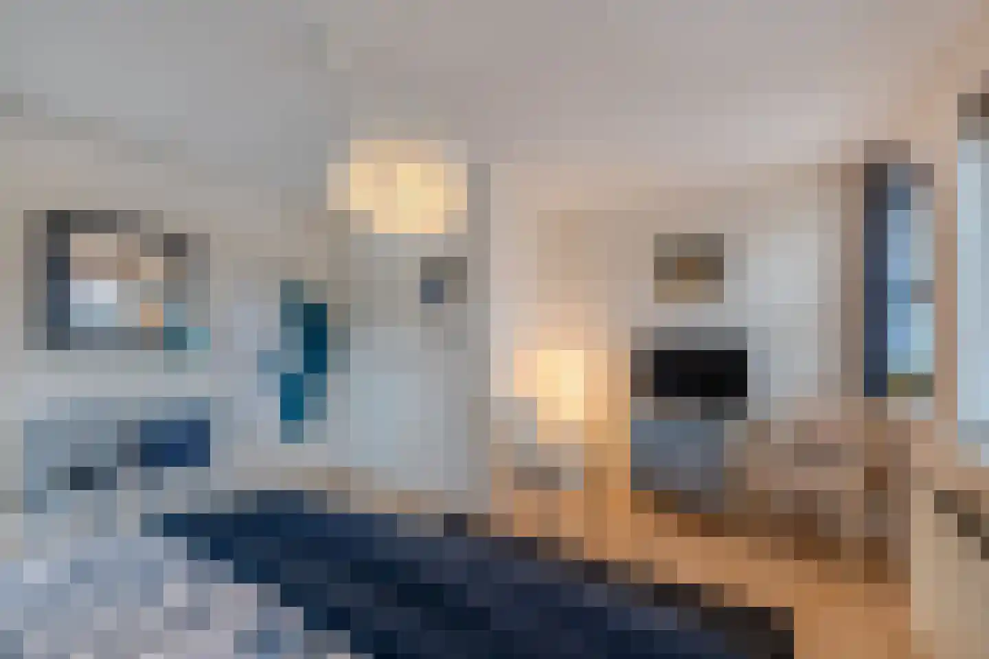 De Klút 20 Bolsward thumbnail 36