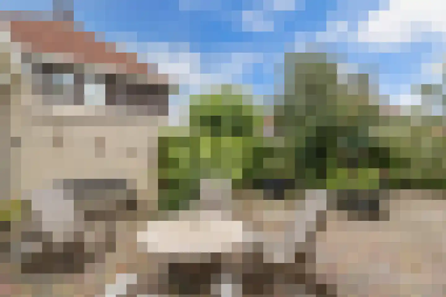 De Klút 20 Bolsward thumbnail 47