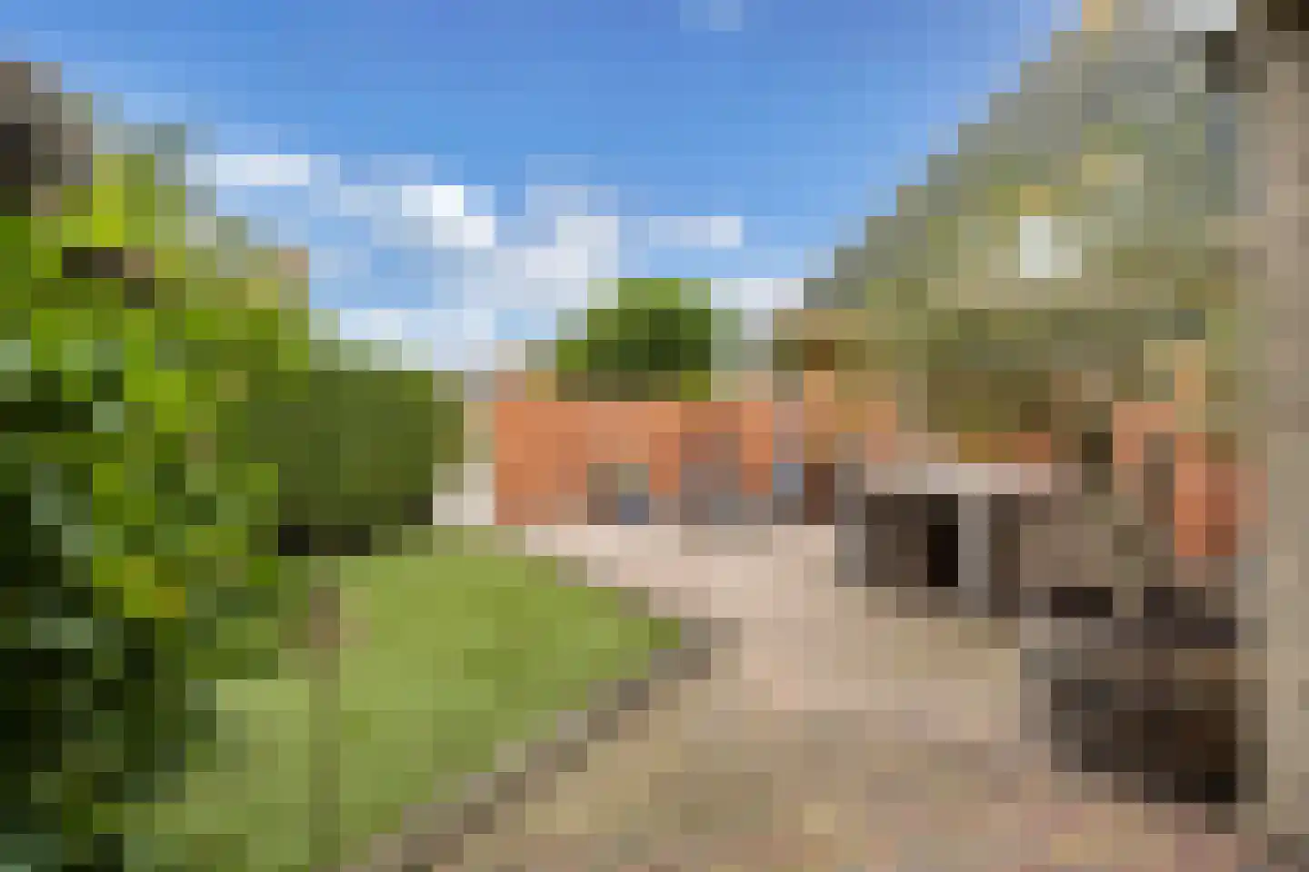De Klút 20 Bolsward thumbnail 56