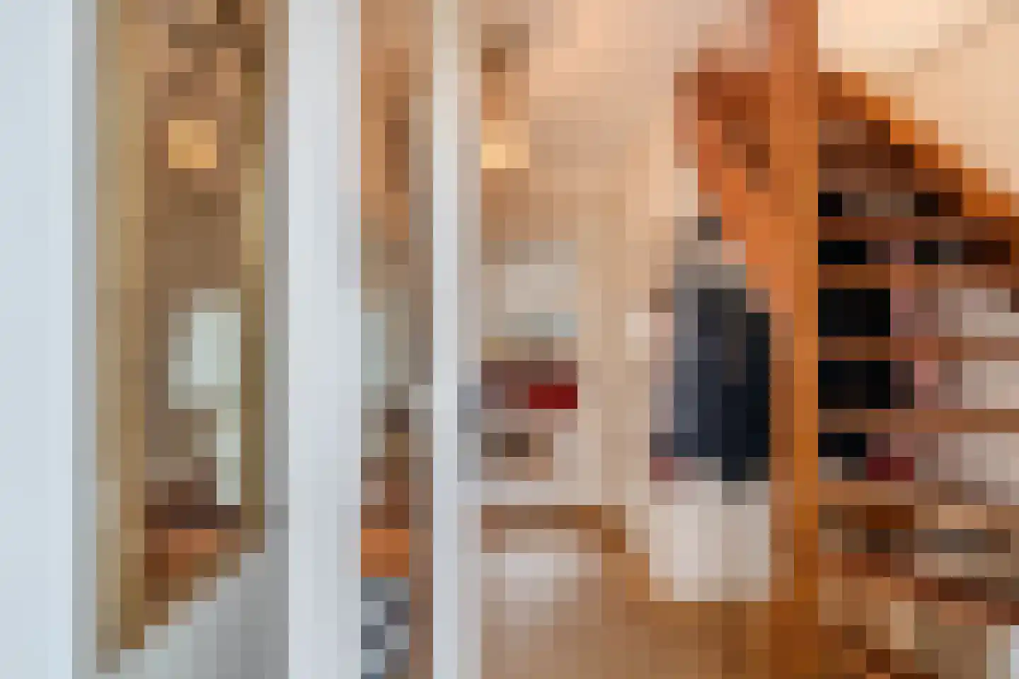De Klút 20 Bolsward thumbnail 8