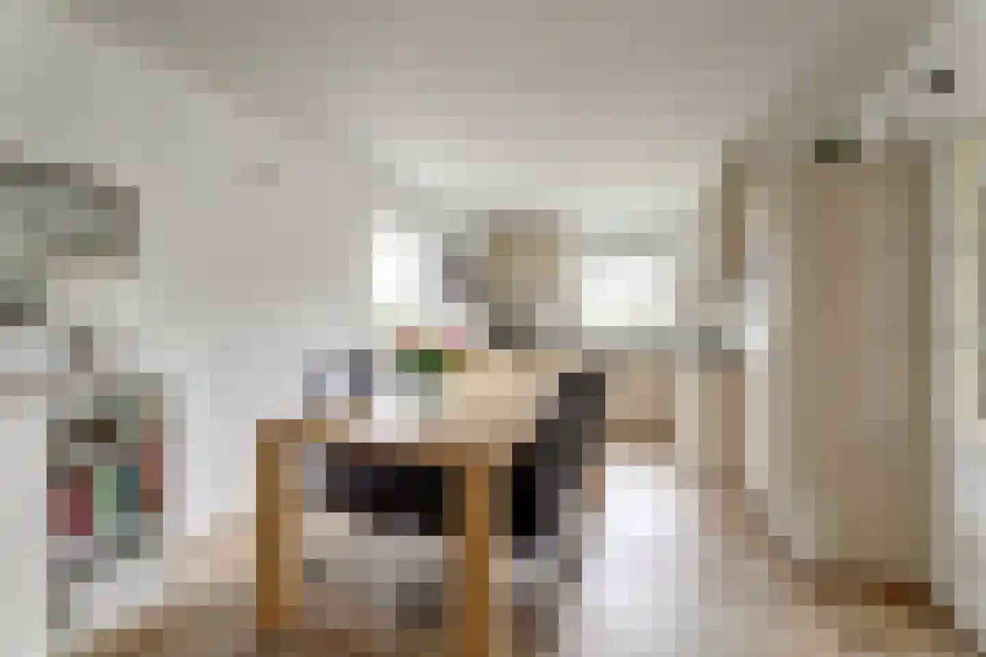 De Kluut 2 Harlingen thumbnail 10