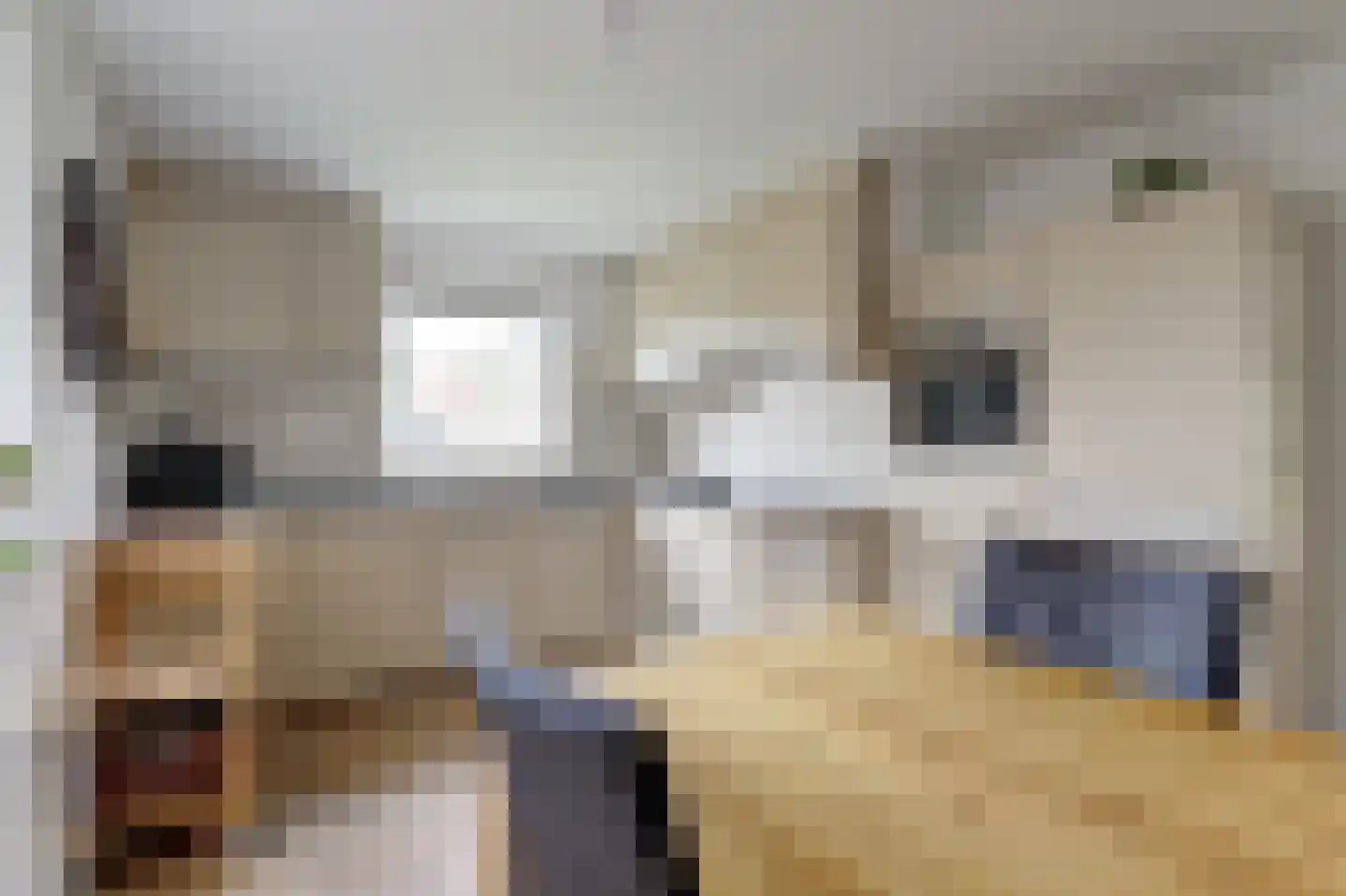 De Kluut 2 Harlingen thumbnail 12