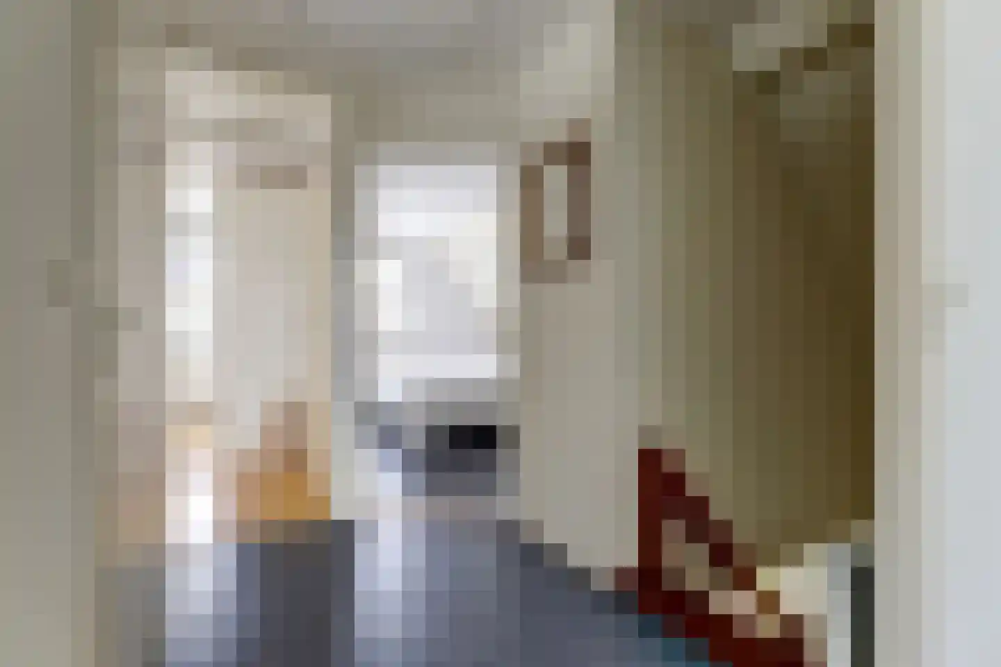 De Kluut 2 Harlingen thumbnail 20