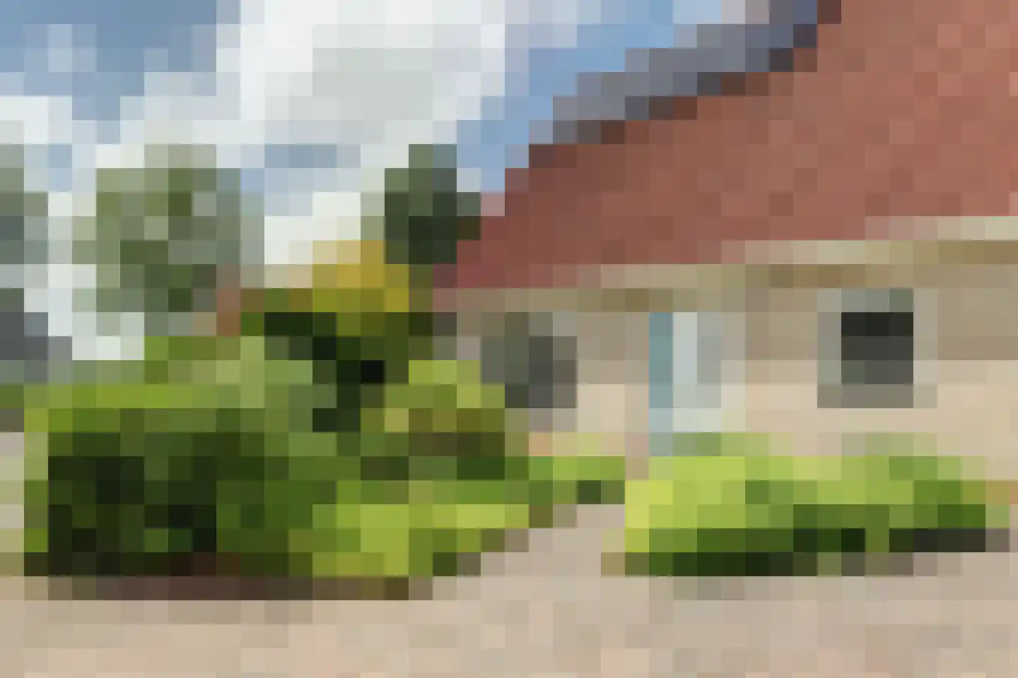 De Kluut 2 Harlingen thumbnail 38