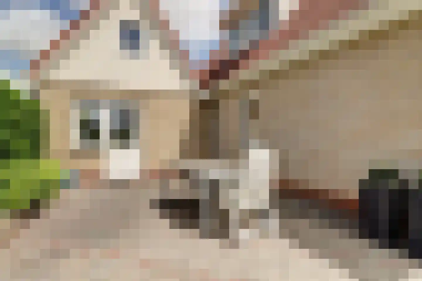 De Kluut 2 Harlingen thumbnail 39