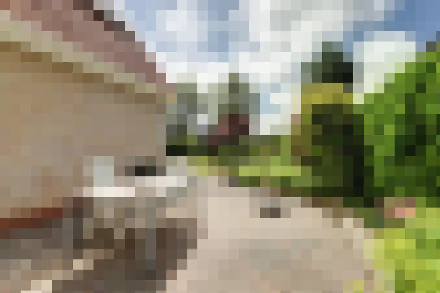 De Kluut 2 Harlingen thumbnail 40