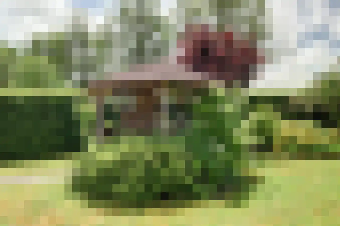 De Kluut 2 Harlingen thumbnail 46