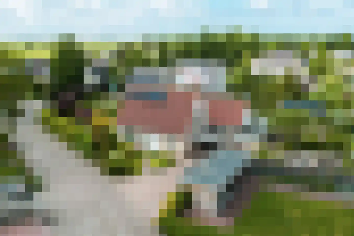 De Kluut 2 Harlingen thumbnail 50