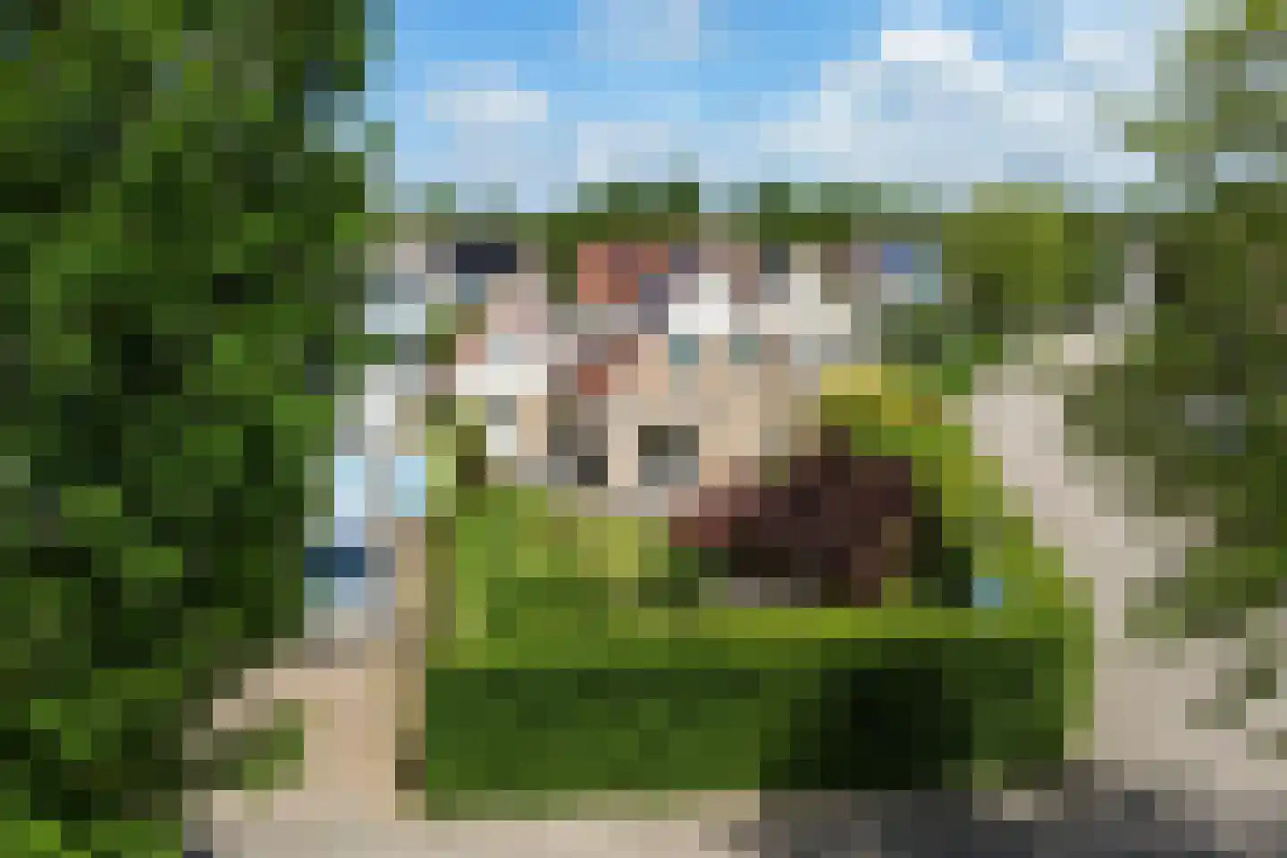 De Kluut 2 Harlingen thumbnail 51
