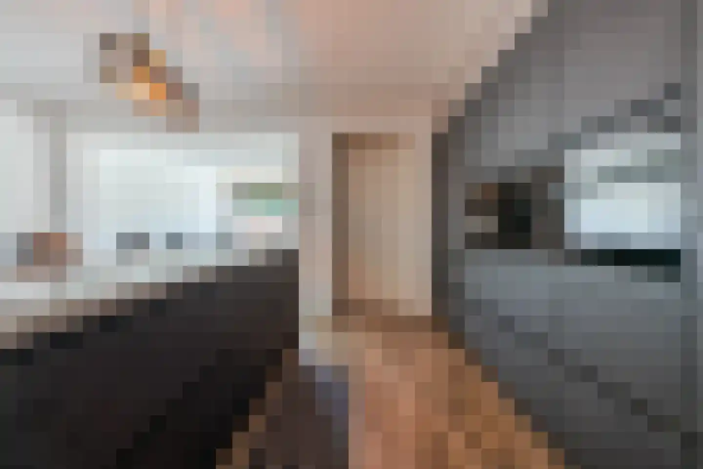 De Kniepe 21 Stuifzand thumbnail 17