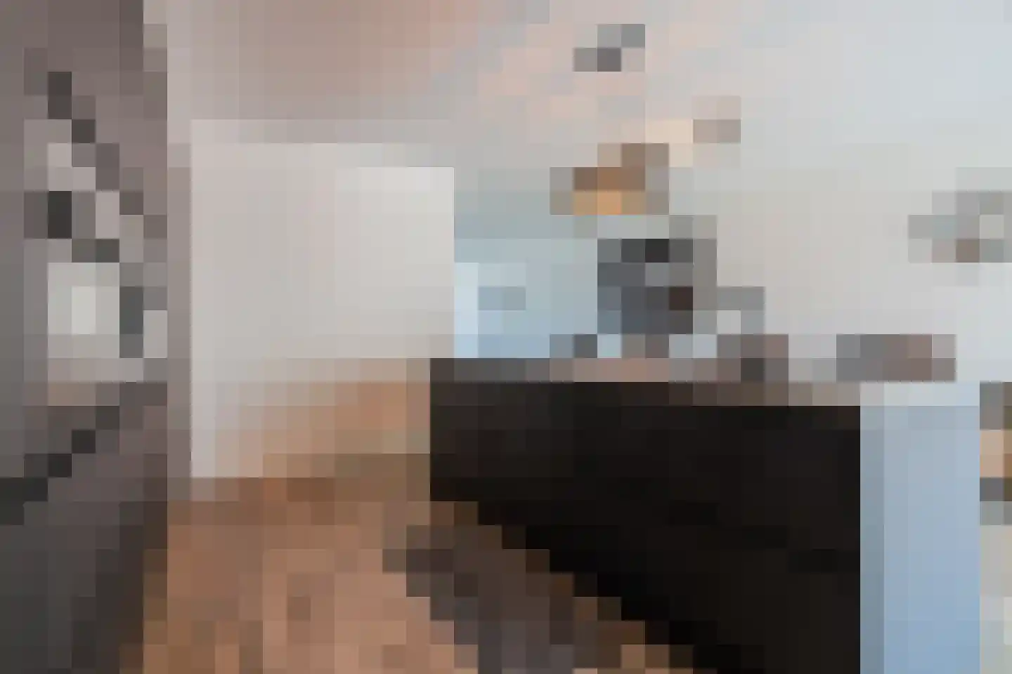De Kniepe 21 Stuifzand thumbnail 20