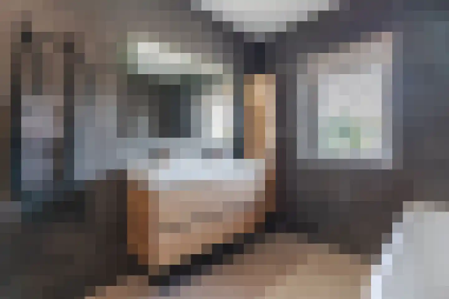 De Kniepe 21 Stuifzand thumbnail 39