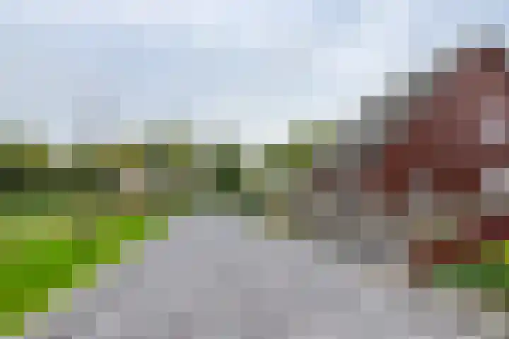 De Kniepe 3 Stuifzand thumbnail 10