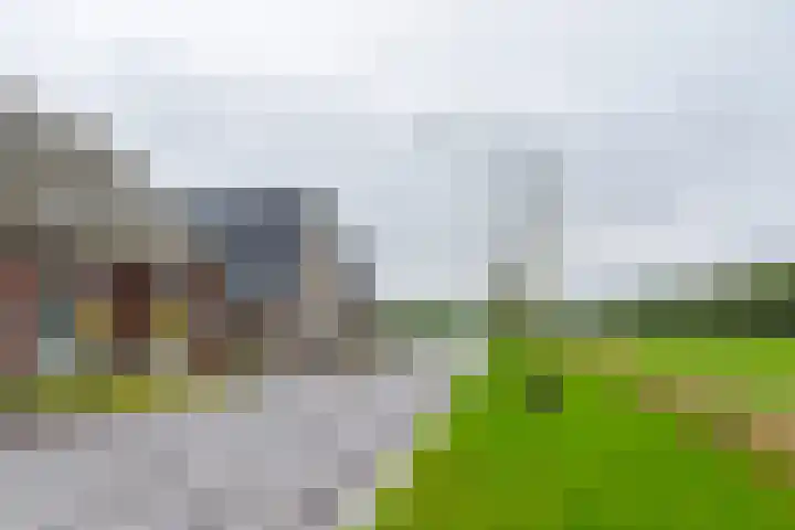 De Kniepe 3 Stuifzand thumbnail 11