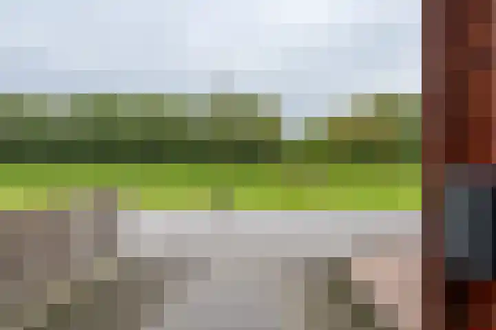 De Kniepe 3 Stuifzand thumbnail 12