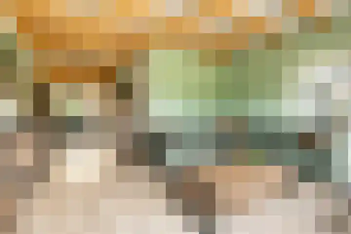 De Kniepe 3 Stuifzand thumbnail 16
