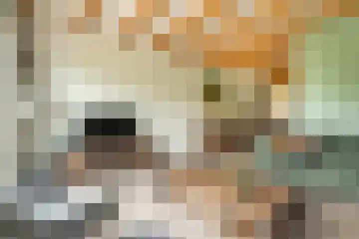 De Kniepe 3 Stuifzand thumbnail 17