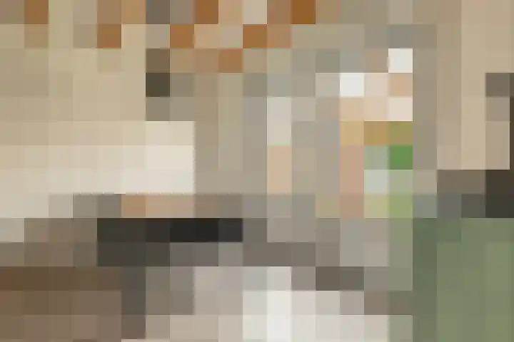 De Kniepe 3 Stuifzand thumbnail 20