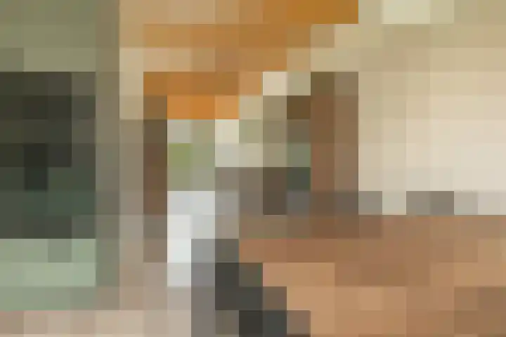 De Kniepe 3 Stuifzand thumbnail 21