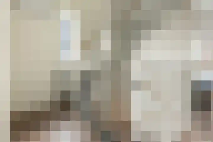 De Kniepe 3 Stuifzand thumbnail 22