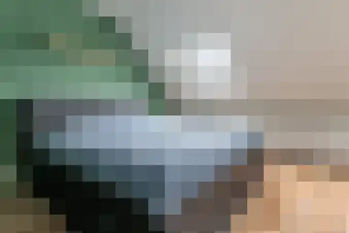 De Kniepe 3 Stuifzand thumbnail 24