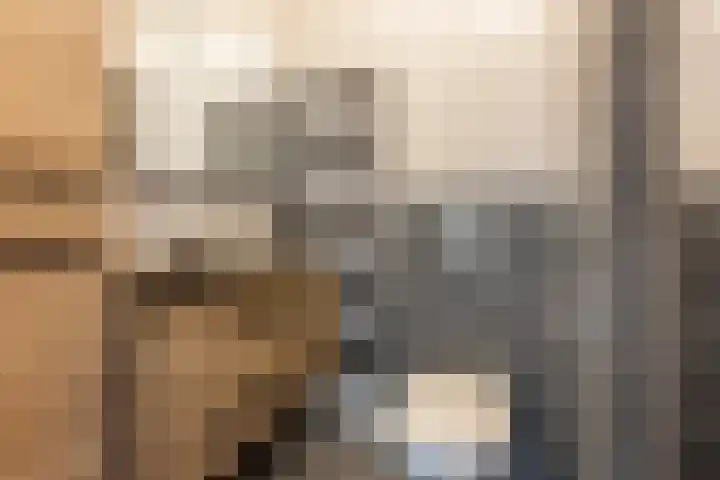 De Kniepe 3 Stuifzand thumbnail 28