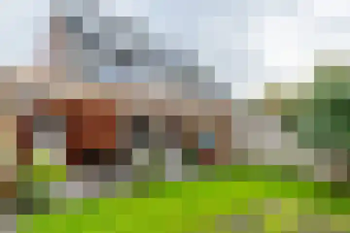 De Kniepe 3 Stuifzand thumbnail 39