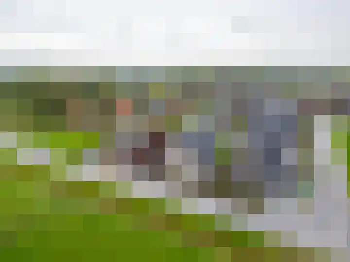 De Kniepe 3 Stuifzand thumbnail 40